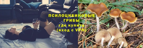 синтетический гашиш Вяземский