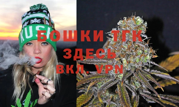 ешки Вязьма