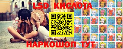 индика Заводоуковск