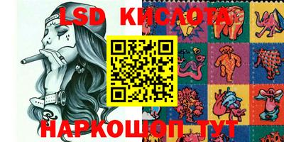 индика Заводоуковск