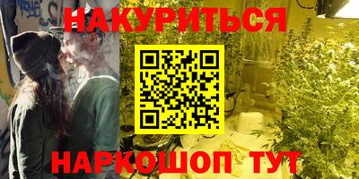 индика Заводоуковск