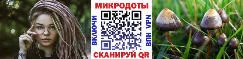 блэк спрут вход  Междуреченск  Псилоцибиновые грибы Cubensis  купить закладку 