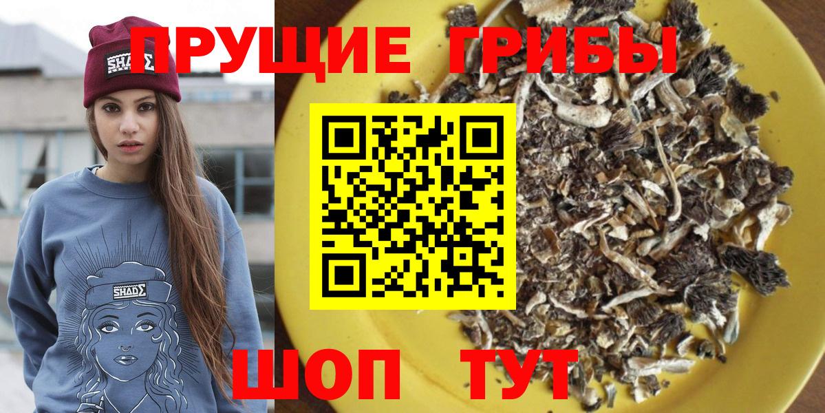 Галлюциногенные грибы прущие грибы  Вход с VPN  Междуреченск  Псилоцибиновые грибы MAGIC MUSHROOMS 