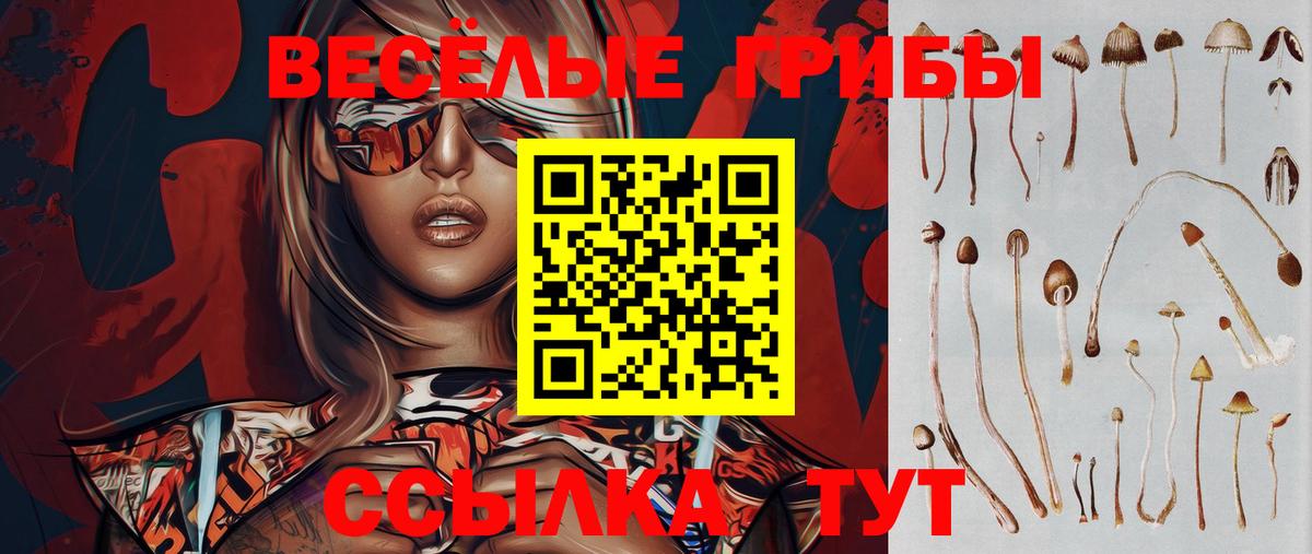 Галлюциногенные грибы прущие грибы Междуреченск