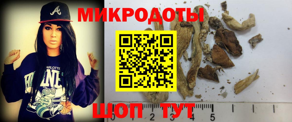 Псилоцибиновые грибы Magic Shrooms Междуреченск