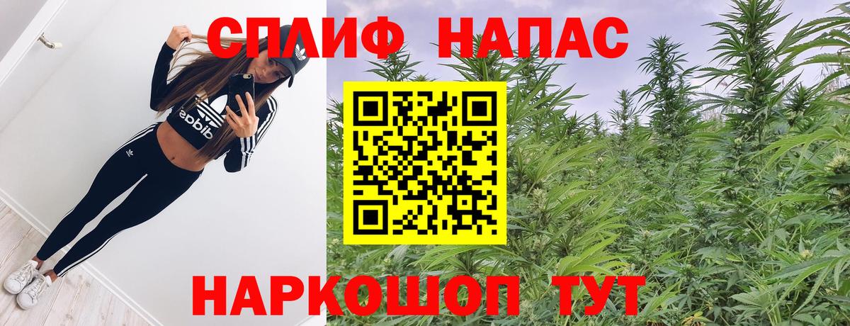 Марихуана гибрид Междуреченск